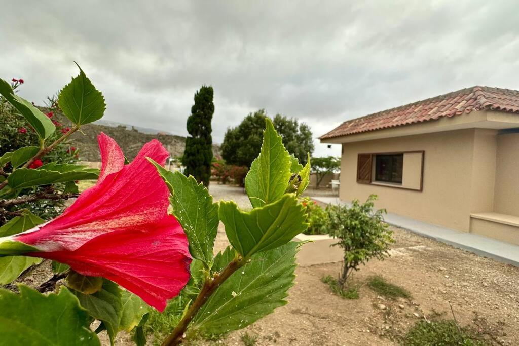 Peaceful Oasis With Magical Sea Views And A Pool Villa Santa Cruz de Tenerife Luaran gambar