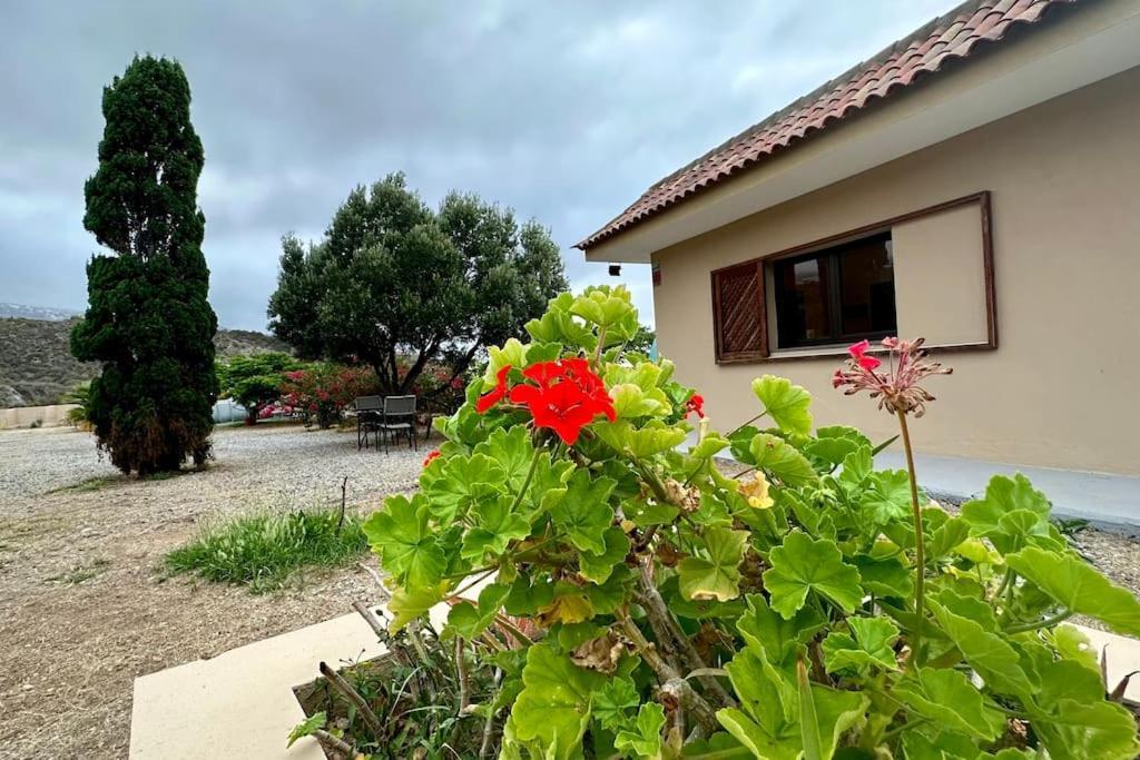 Peaceful Oasis With Magical Sea Views And A Pool Villa Santa Cruz de Tenerife Luaran gambar